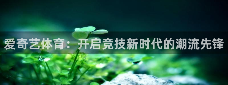 nba直播jrkan