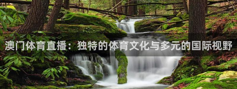jrkan直播体育app：澳门体育直播：独特的体育文化与多元的国际视野