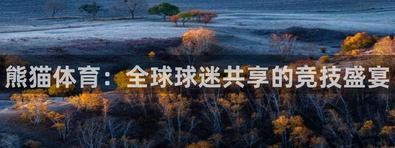 jrkan直播体育：熊猫体育：全球球迷共享的竞技盛宴