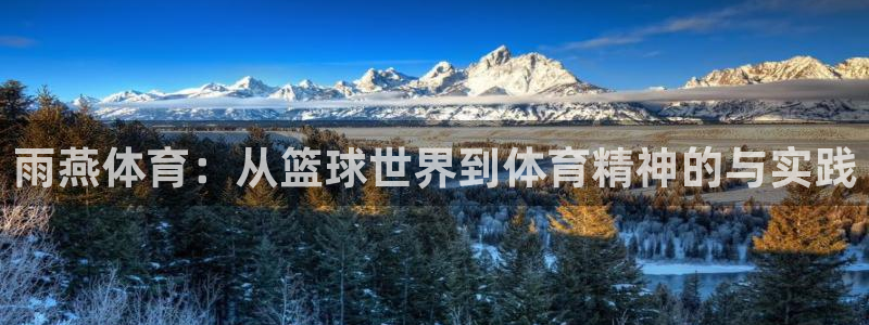 nba网站直播jrkan：雨燕体育：从篮球世界到体育精神的与实践