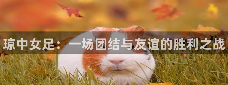 jrkan直播app：琼中女足：一场团结与友谊的胜利之战