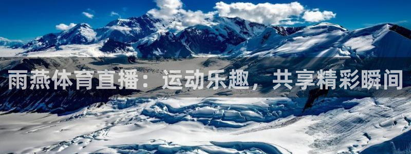 jr看直播nba：雨燕体育直播：运动乐趣，共享精彩瞬间