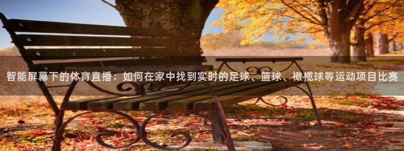 jrkan直播篮球