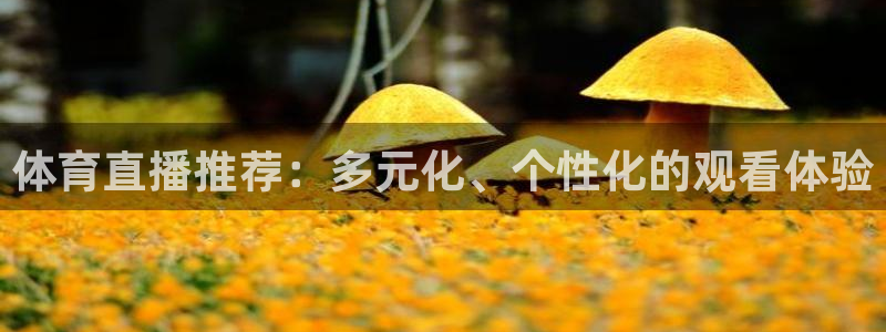 jrkan篮球直播