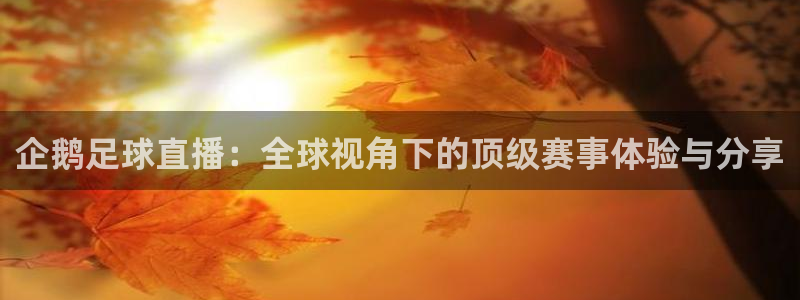 jrkan直播nba直播